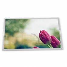 NL3224AC35-10 5.5 inch 320(RGB)×240 CCFL lcd screen display