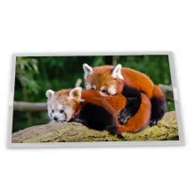 AA104XD02--T1 Mitsubishi 10.4