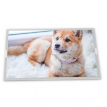 LCD display  LQ10D36A  10.4 inth   640*480   Industrial  screen