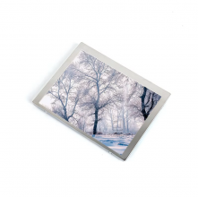 LQ065T9DZ02 Sharp 6.5 inch a-Si TFT-LCD  LCM 400(RGB)×240  WQVGA  72PPI