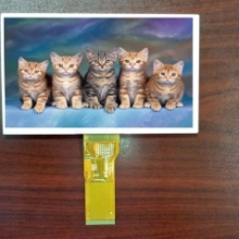 LCD display    TM070RDH11   7.0 inth    800*480    Digital photo frame     Portable DVD player