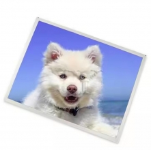 b156htn06.2   15.6" lcd display screens  for  AUO