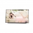 b156han04.3    15.6"   lcd display module  for  AUO