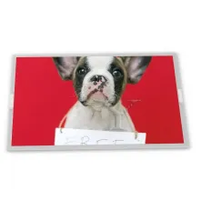 TM070RDH10-42 Tianma 7