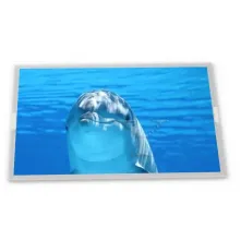 LCD display    AA121SL02   12.1 inth   800*600    Industrial  screen