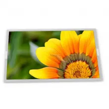 TM070RDH10-00 Tianma 7