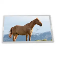 LQ9D024 Sharp 8.4