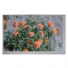 FG0700K6DSSWAGT1       7.0"    lcd     display     panel     for   Data Image
