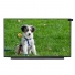 N156BGA-EB2  15.6" lcd display panel  for  INNOLUX