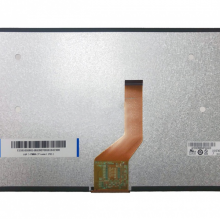 G101STN01.F       10.1