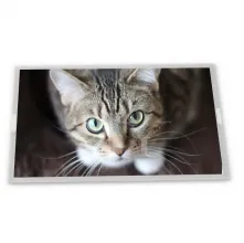 TM043NVHG01 Tianma 4.3