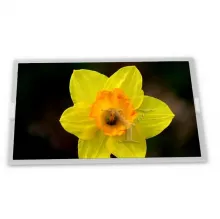 LCD display  TX18D30VM2BAA  7.0 inth  800*480    Industrial  screen