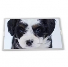 M238HVN02.1  23.8 lcd display module  for  AUO Industrial Screen