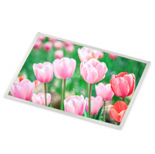 LP150X08-TLA8 LG 15 inch a-Si TFT-LCD  LCM 1024(RGB)×768  XGA  85PPI