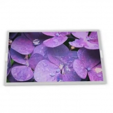 B156HAN02. H    15.6