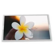 LQ104S1DG21 Sharp 10.4
