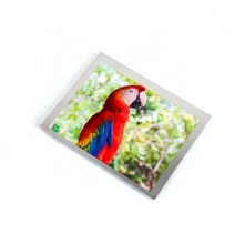 LQ065T9DR54 Sharp 6.5 inch a-Si TFT-LCD  LCM 400(RGB)×240  WQVGA  72PPI