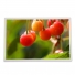 AT104XH11 Mitsubishi 10.4" a-Si TFT-LCD  LCM 1024(RGB)×768  XGA  123PPI