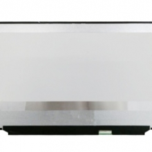 B173HAN04.8 HW1A    17.3