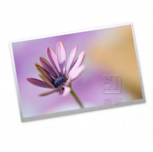 NL6448BC33-70F NLT 10.4 inch a-Si TFT-LCD  LCM 640(RGB)×480  VGA  76PPI