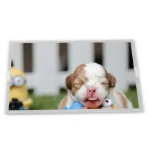 LCD display  LTM238HL08    23.8 inth   1920*1080     Desktop monitor