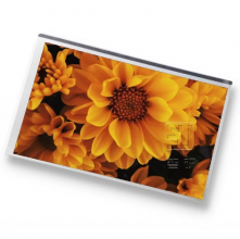 LB070WV3-SH01 LG 7 inch a-Si TFT-LCD  CELL 800(RGB)×480  WVGA  133PPI