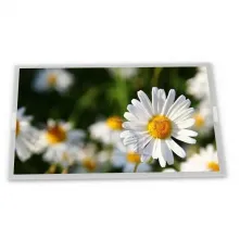 LCD display   LQ043T1DG01   4.3 inth   480*272    Portable navigation    MP3 PMP