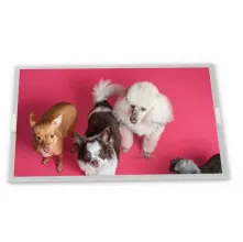 LQ104V1DG51 Sharp 10.4