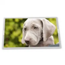 M215H1-L03  21.5-inch  tft lcd module  for INNOLUX