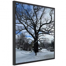 P281SVN01.0   28.1 inch   display lcd   for  AUO