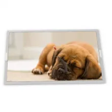 LQ043T3DX02 Sharp 4.3