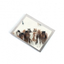 TM065JVSC03 Tianma 6.5 inch a-Si TFT-LCD  Assembly 720(RGB)×1600  269PPI