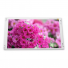 LA084X01-SL02 LG 8.4 inch a-Si TFT-LCD  LCM 1024(RGB)×768  XGA  152PPI