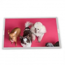 B133HAK01.0  13.3" lcd display screens  for  AUO