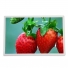 AA104XF12 Mitsubishi 10.4" a-Si TFT-LCD  LCM 1024(RGB)×768  XGA  123PPI