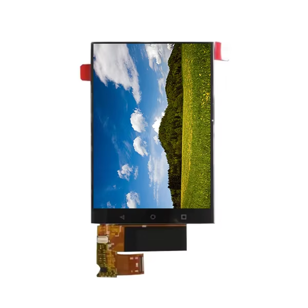 bv060y9m-l00-3s01    6