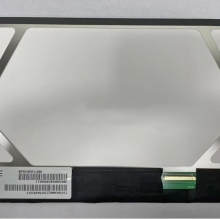 bp101wx1-206    10.1