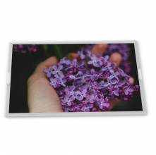LCD display  NL6448BC33-59  10.4 inth   640*480    Industrial  screen